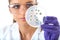 Lab assistant check petri dish with bacterium