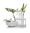 Lab glassware and mortar with plants on white. Organic chemistry