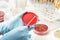 Lab technician hand planting a petri dish