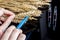 A lab technician holds a syringe with a chemical in his hands and tests wheat and grains for GMO. Genetically modified products.