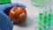 Lab worker injecting pesticide liquid in a tomato analyzing gmo food, experiment