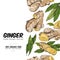 Label with ginger colorful sketch set - root, slice pieces, powder and leaves.