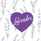 Label of Lavender over pattern.