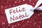 Label On Red Background, Snowflakes, Feliz Natal Means Merry Christmas