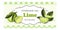Label or sticker design with lime illustration. Natural homemade lime jam. For natural or organic fruit products and