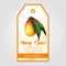 Label or sticker design with mango illustration. Natural mango jam. For natural or organic fruit products and health care goods