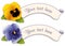 Label Tags, Gold & Sky Blue Pansies