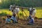 Labor day in peanut fields of Myanma