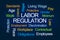 Labor Regulation Word Cloud