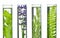 Laboratory, Fern, lavender, rosemary and mint in test tubes