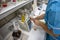 Laboratory at food factory, quality control equipment. Worker tests product