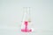 Laboratory glass Erlenmeyer conical flask filled