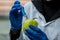 Laboratory scientist in a white coat injecting