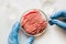 Laboratory studies of artificial meat. Minced meat in Petri dish under the supervision of a scientist in gloves. View from above