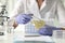 Laboratory technician examines yellow liquid in flask