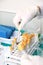 Laboratory technician holding a blood tube test