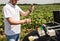 Laboratory worker testing plant sprouts before harvest in the field.