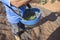 Laborer collecting olives carefully from the branch to the basket