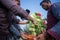 Labors are uploading Kohlrabi cabbage in plastic mesh bags for export in local market at Savar,