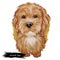 Labradoodle dog digital art illustration of cute canine animal. Crossbreed dog created by crossing Labrador retriever