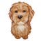 Labradoodle dog digital art illustration of cute canine animal. Crossbreed dog created by crossing Labrador retriever