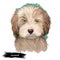 Labradoodle dog digital art illustration of cute canine animal. Crossbreed dog created by crossing Labrador retriever and Standard