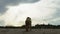 Labradoodle dog with wagging tail takes in dramatic clouds and sky at beach