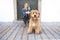 Labradoodle Dog and woman outside on balcony