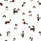 Labradoodle seamless pattern.  Different poses, coat colors set