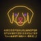 Labrador cute kawaii neon light character