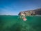 Labrador dog swimming with a frisbee Curacao views