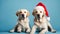 Labrador dogs wearing a Santa Claus hat at home. New Year card