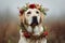 Labrador with Festive Floral Crown Outdoors