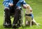 Labrador guide dog and his disabled owner