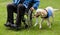 Labrador guide dog and his disabled owner