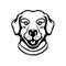 Labrador head illustration in engraving style. Design element for logo, label, sign, poster, t shirt