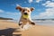 labrador puppy jumping to tennis ball on the beach, ai generated