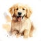 Labrador. Realistic watercolor dog illustration. Funny doggy drawing template. Art for card, poster and other