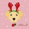 Labrador Retriever dog with reindeer horns and Christmas toy balls