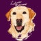 Labrador Retriever Painting poster