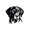 Labrador retriver portrat, illustration im black and white colors