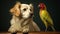 Labradors And a Parrot lookign at each other