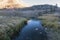 Labrinth of water through grassy shoreline with ice