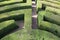 Labyrinth with the hedges in an outdoor garden