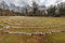 Labyrinth made of white stones on a green meadow near Beli on a sunny day in spring