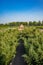 Labyrinth of the Masone, Emilia Romagna