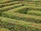 Labyrinth Maze of Orderly Cut Green Bushes