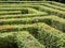 Labyrinth Maze of Orderly Cut Green Bushes