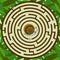 The labyrinth round the snail and leaves