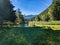 lac de champex. Beautiful mountain lake above Orsieres in Valais. idyllic landscape. Enjoy the silence of nature